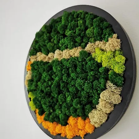 Апартаменти Karra - Autorizat Ministerul Turismului Тімішоара