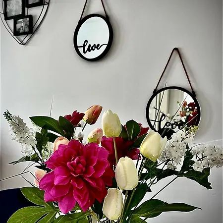 Karra - Autorizat Ministerul Turismului * Temešvár