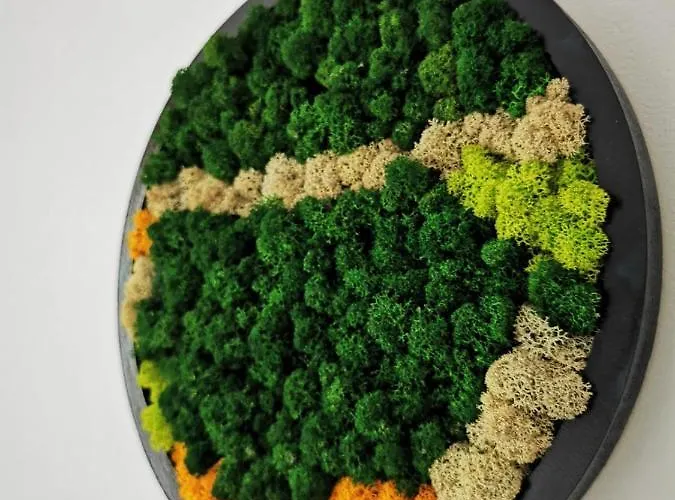 Apartmán Karra - Autorizat Ministerul Turismului Temešvár