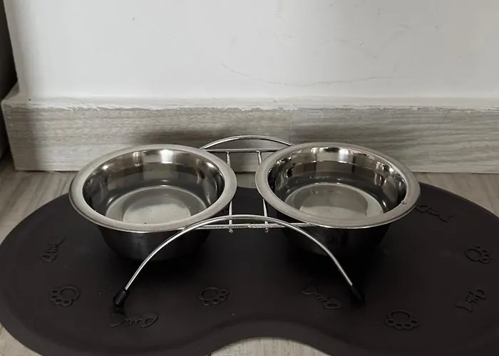 Karra - Autorizat Ministerul Turismului Apartament Timişoara